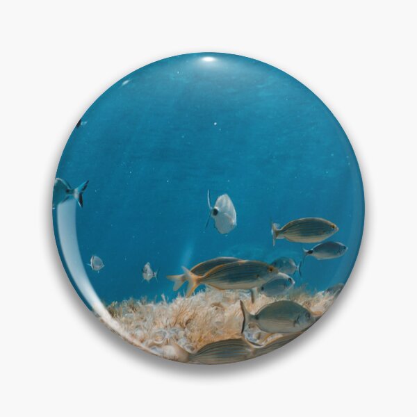 Item preview, Mediterranean Fish School Underwater – Blue Ocean Seabed Photography designed and sold by Tropical Blood.