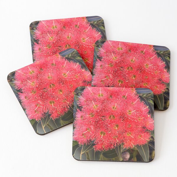 Item preview, Red Flowering Gum in Bloom designed and sold by Be Captured by Brittany Emma.