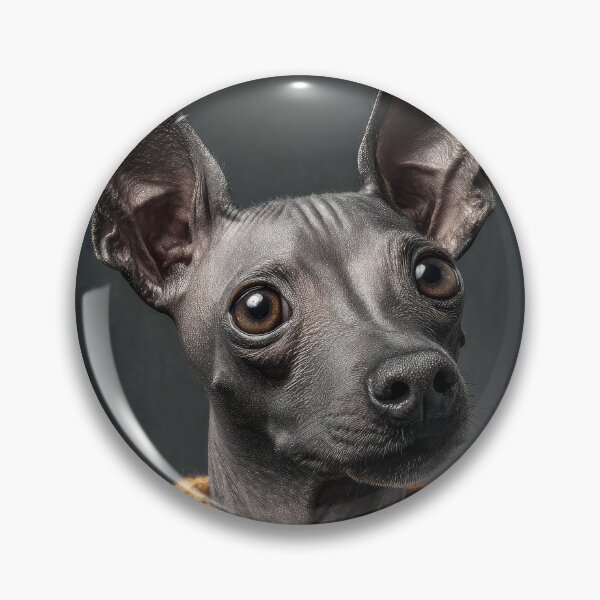 Item preview, American Hairless Terrier with Sweater designed and sold by Elisabeth Lucas.