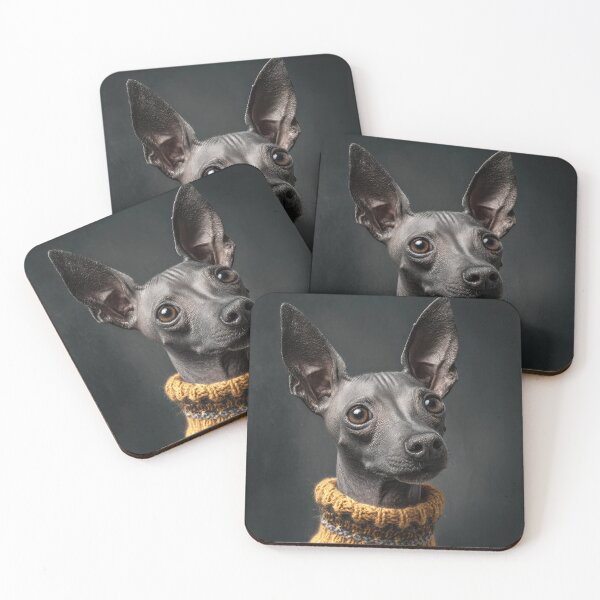 Item preview, American Hairless Terrier with Sweater designed and sold by Elisabeth Lucas.
