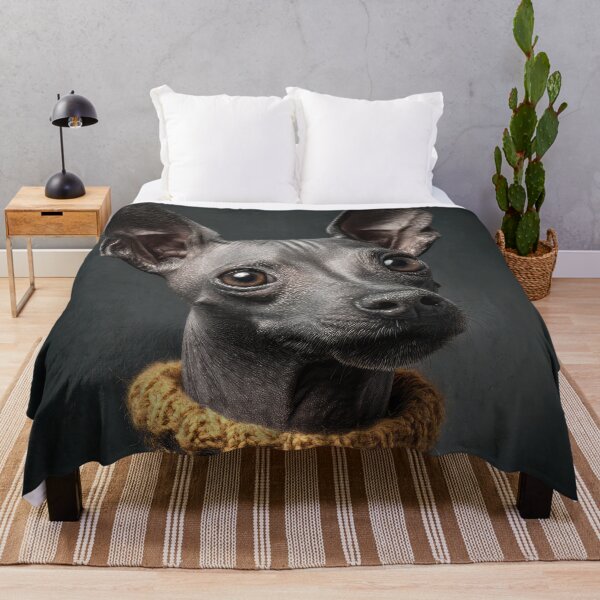 Item preview, American Hairless Terrier with Sweater designed and sold by Elisabeth Lucas.