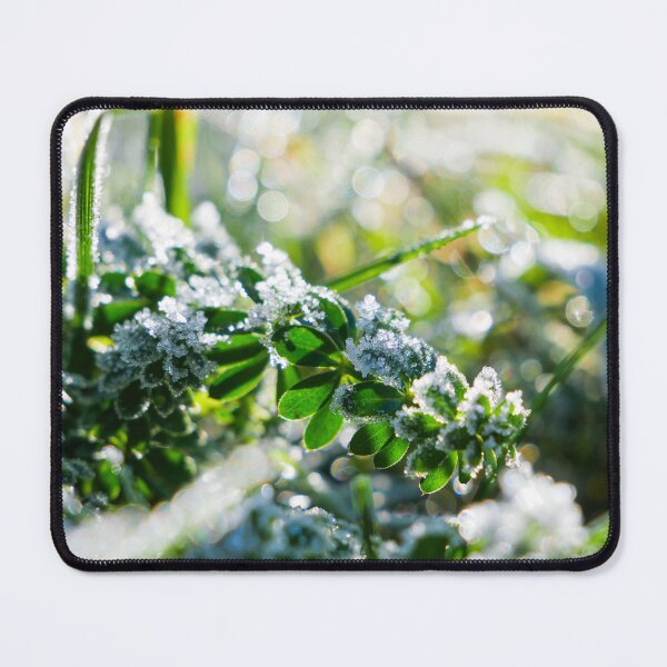 Item preview, Meadow bathed in frosty sunshine designed and sold by TW-Fotos.