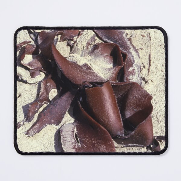 Item preview, New Zealand Kelp designed and sold by AnalogDays.