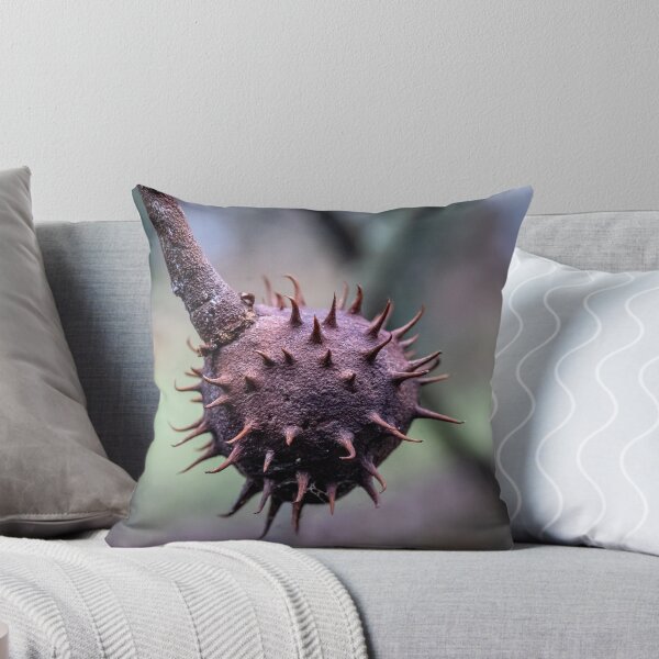 Item preview, Chestnut in Brown Husk – Autumn Macro designed and sold by Rabee Khalil Photography.