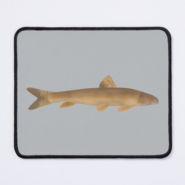 Item preview, Scaly Osman designed and sold by fishfolkart.