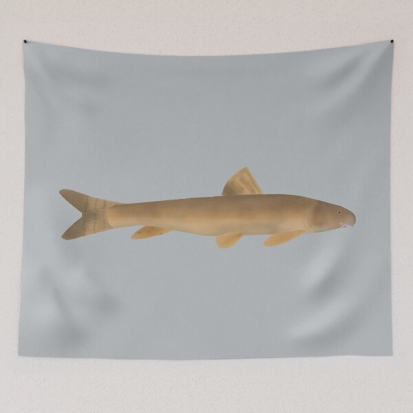 Item preview, Scaly Osman designed and sold by fishfolkart.