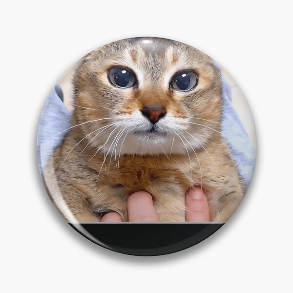 Item preview, Silly Vro Cat Meme Tole Tole designed and sold by TyrelKoch.