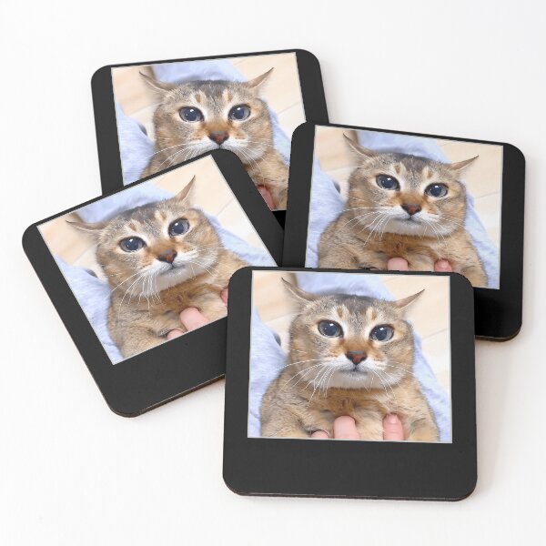 Item preview, Silly Vro Cat Meme Tole Tole designed and sold by TyrelKoch.