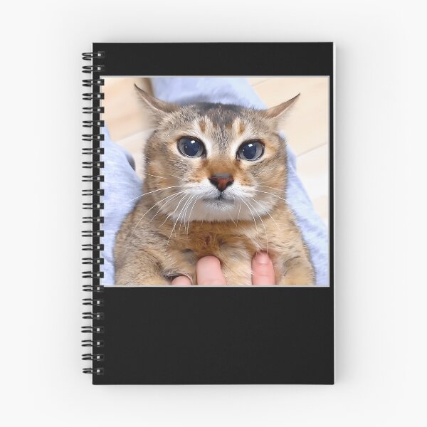 Item preview, Silly Vro Cat Meme Tole Tole designed and sold by TyrelKoch.