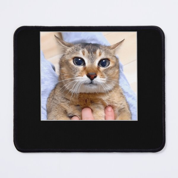 Item preview, Silly Vro Cat Meme Tole Tole designed and sold by TyrelKoch.