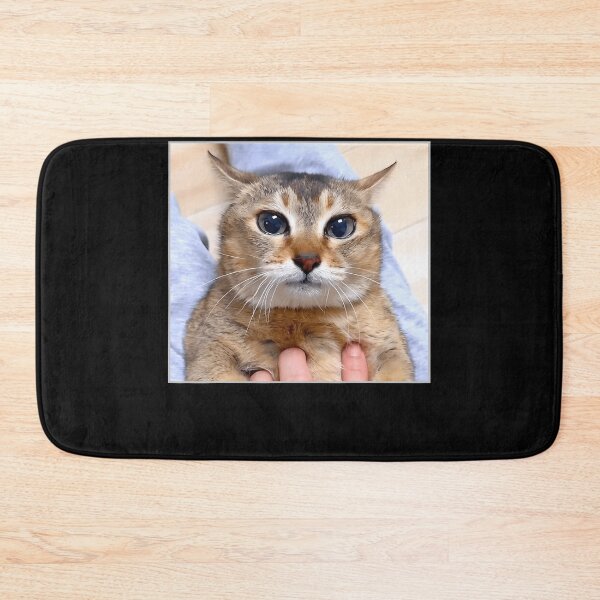 Item preview, Silly Vro Cat Meme Tole Tole designed and sold by TyrelKoch.