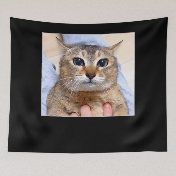 Item preview, Silly Vro Cat Meme Tole Tole designed and sold by TyrelKoch.