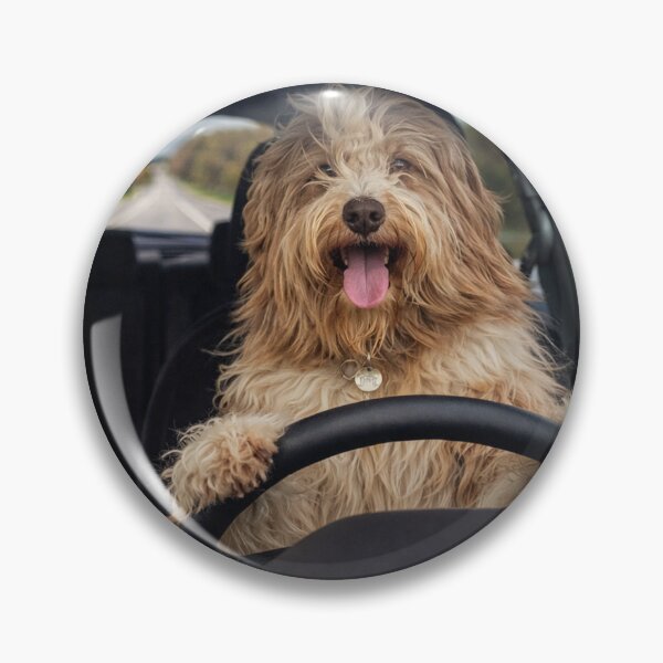 Item preview, Bearded Collie Dogs On A Road Trip designed and sold by Paul Thompson Photography.