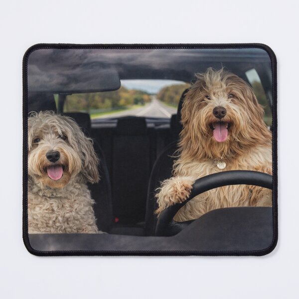 Item preview, Bearded Collie Dogs On A Road Trip designed and sold by Paul Thompson Photography.