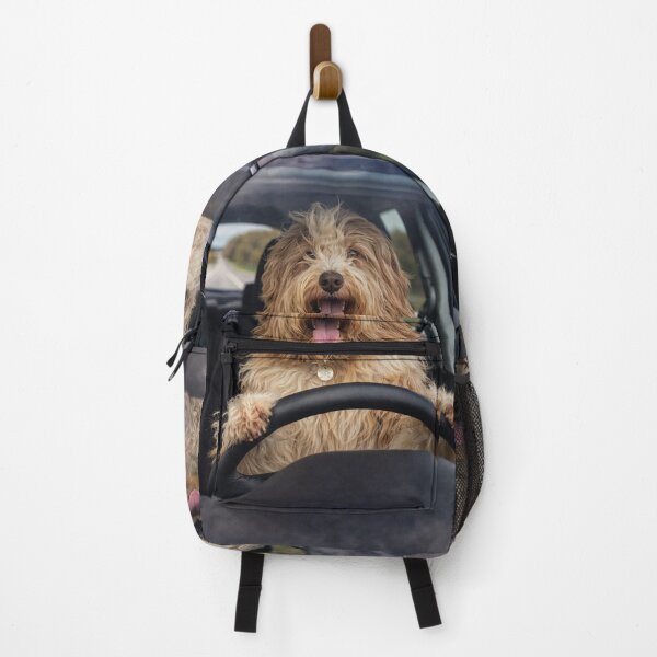 Item preview, Bearded Collie Dogs On A Road Trip designed and sold by Paul Thompson Photography.