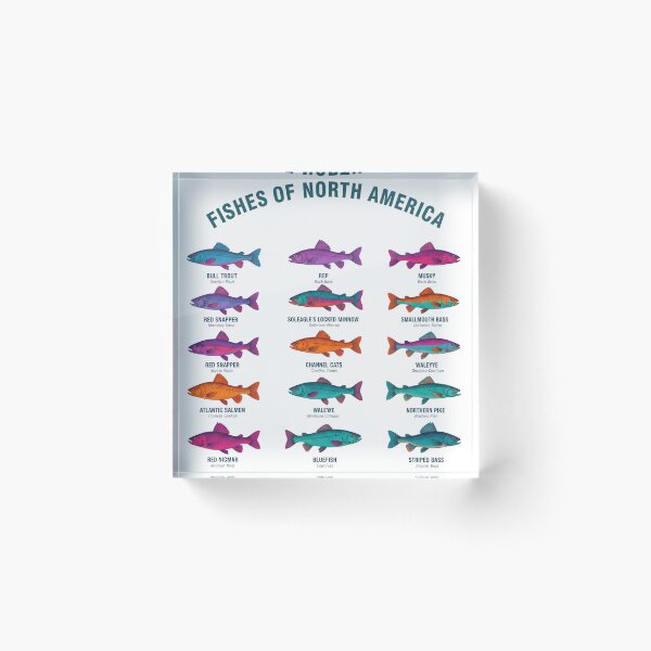 Item preview, North American Fish, Fisherman Gift, Lake Outdoorsman Naturalist, Fly Fishing, Trout, Pike, Salmon, Pickerel designed and sold by DesignDenDo ⭐⭐⭐⭐⭐.