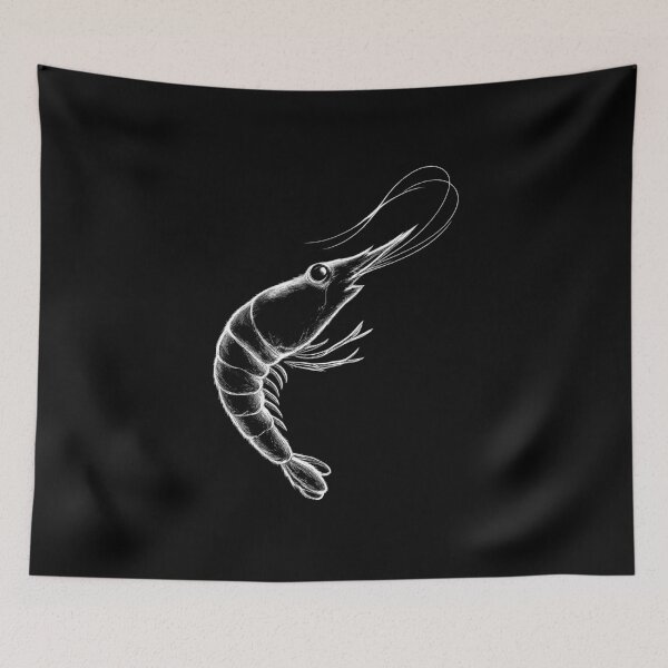 Item preview, Chalk Outline Shrimp Sketch designed and sold by WhoopsieWorld.