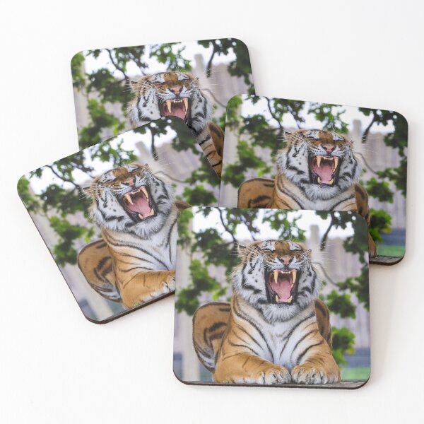 Item preview, Big Tiger Yawn designed and sold by Alan Sabatino Photography.