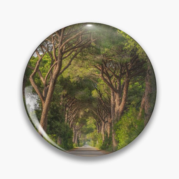 Item preview, Pine Trees Road in Maremma Park, Tuscany designed and sold by Stefano Orazzini.