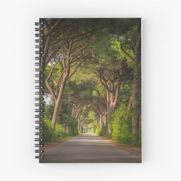 Item preview, Pine Trees Road in Maremma Park, Tuscany designed and sold by Stefano Orazzini.