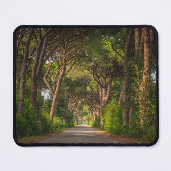 Item preview, Pine Trees Road in Maremma Park, Tuscany designed and sold by Stefano Orazzini.