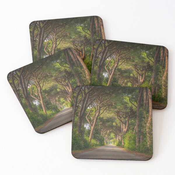 Item preview, Pine Trees Road in Maremma Park, Tuscany designed and sold by Stefano Orazzini.