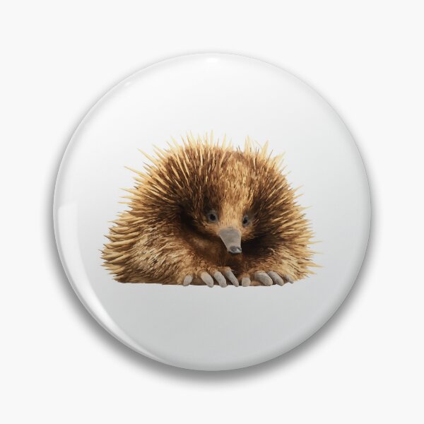 Item preview, Echidna – Spiny but Sweet designed and sold by furrydrool.