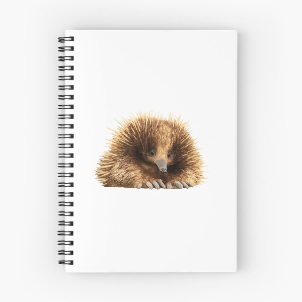 Item preview, Echidna – Spiny but Sweet designed and sold by furrydrool.