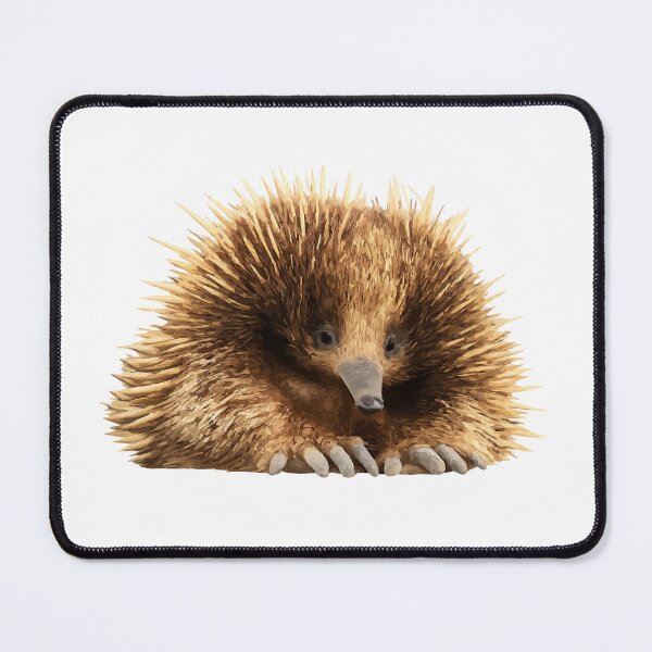 Item preview, Echidna – Spiny but Sweet designed and sold by furrydrool.