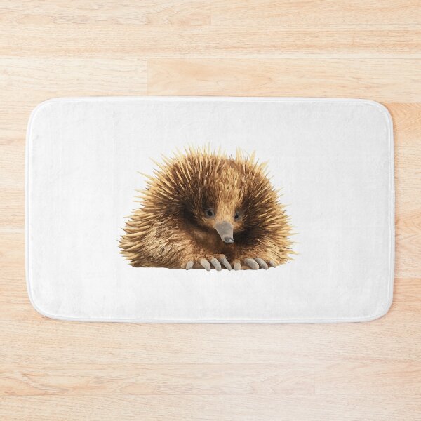 Item preview, Echidna – Spiny but Sweet designed and sold by furrydrool.