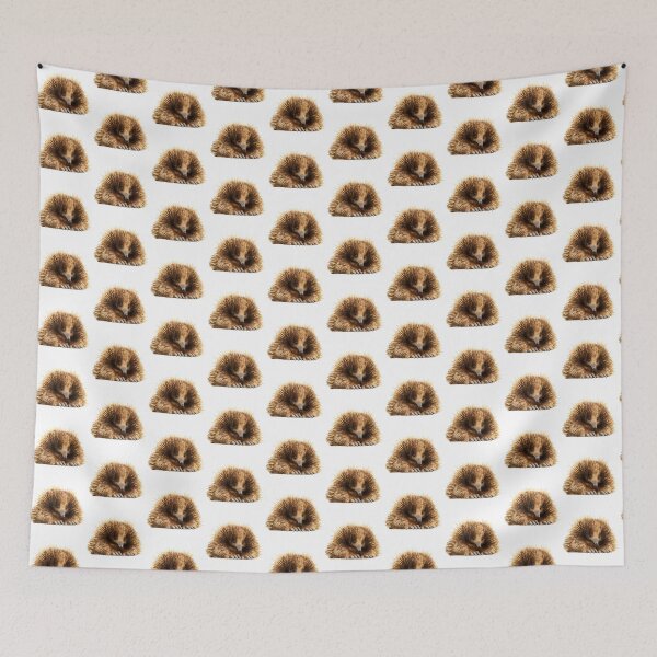 Item preview, Echidna – Spiny but Sweet designed and sold by furrydrool.