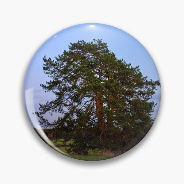 Item preview, The lonely pine by the fields. Nokia 2025 designed and sold by Jouko Lehto Photography.