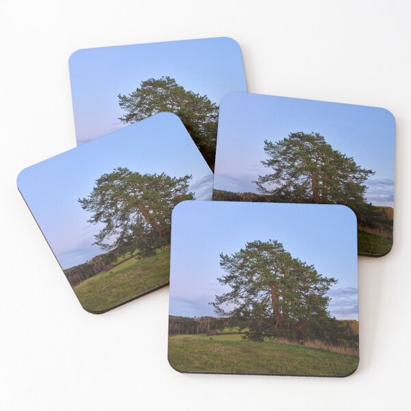 Item preview, The lonely pine by the fields. Nokia 2025 designed and sold by Jouko Lehto Photography.