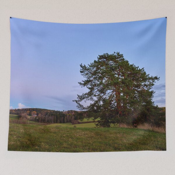 Item preview, The lonely pine by the fields. Nokia 2025 designed and sold by Jouko Lehto Photography.