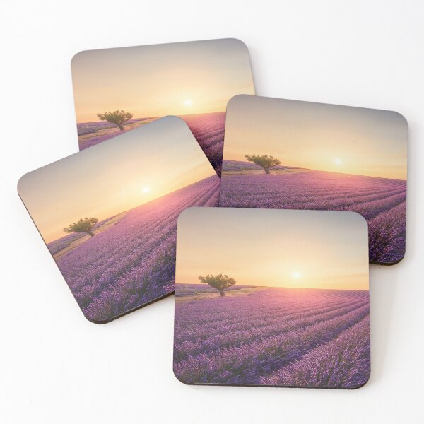 Item preview, Blooming lavender field and a tree at sunset in Valensole. Provence designed and sold by Stefano Orazzini.