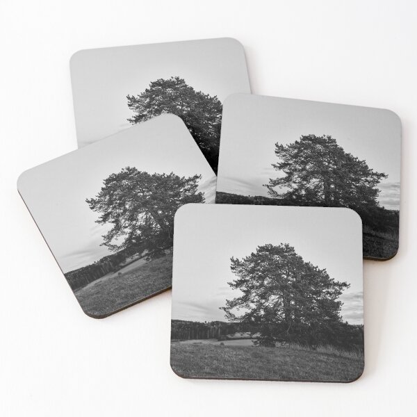Item preview, The lonely pine by the fields. Nokia 2025 bw designed and sold by Jouko Lehto Photography.