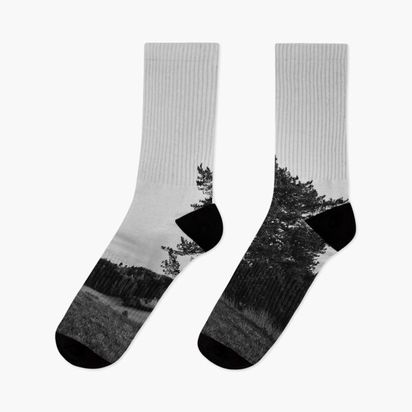 Item preview, The lonely pine by the fields. Nokia 2025 bw designed and sold by Jouko Lehto Photography.