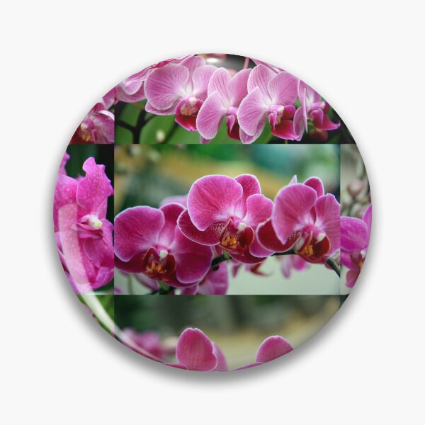 Item preview, Pink Orchids Collage designed and sold by Kacharava.