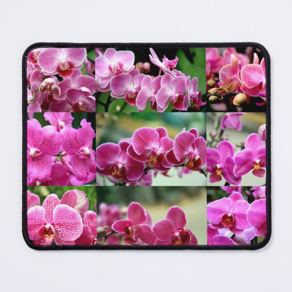 Item preview, Pink Orchids Collage designed and sold by Kacharava.