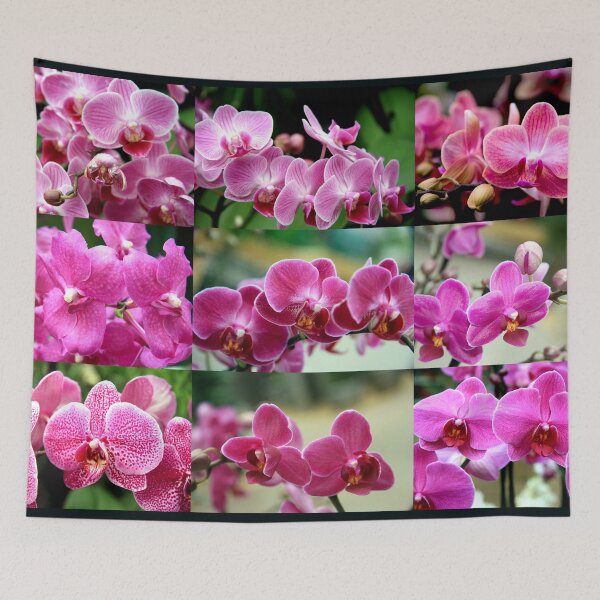 Item preview, Pink Orchids Collage designed and sold by Kacharava.