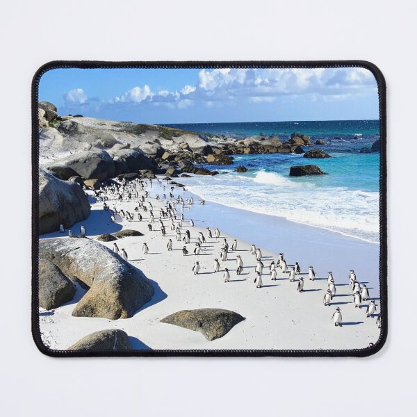 Item preview, Boulders Beach designed and sold by BoKev.