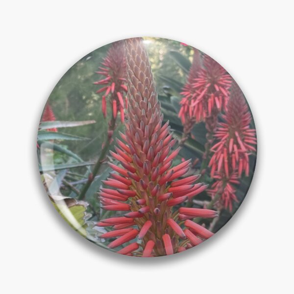 Item preview, Red Aloe Flower Spike in Tropical Garden designed and sold by TrisaThyme.