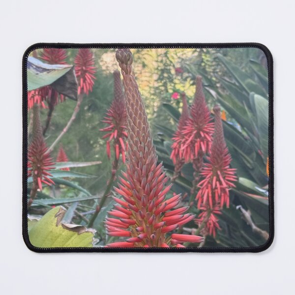 Item preview, Red Aloe Flower Spike in Tropical Garden designed and sold by TrisaThyme.