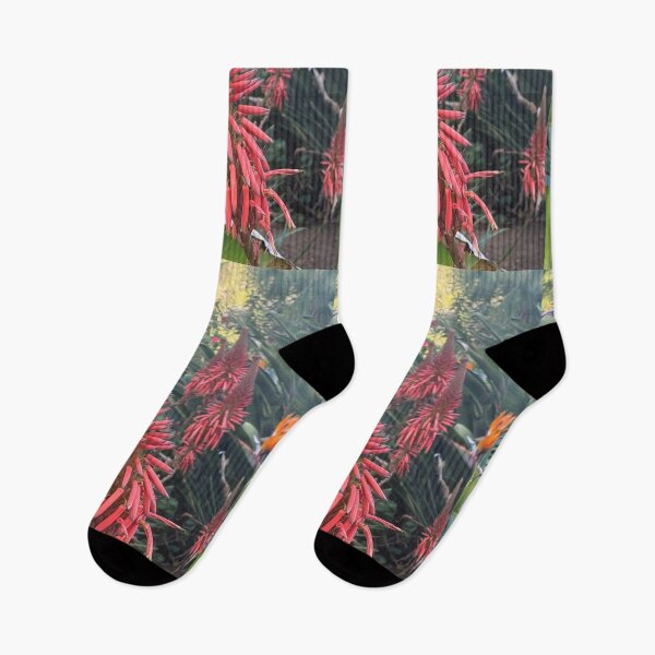 Item preview, Red Aloe Flower Spike in Tropical Garden designed and sold by TrisaThyme.