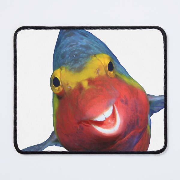 Item preview, Smiling Fish designed and sold by furrydrool.