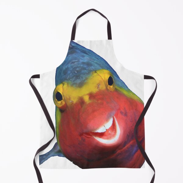 Item preview, Smiling Fish designed and sold by furrydrool.