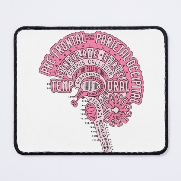 Item preview, brain anatomy  designed and sold by GenZINISH.