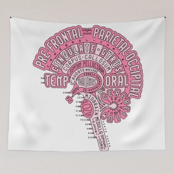 Item preview, brain anatomy  designed and sold by GenZINISH.