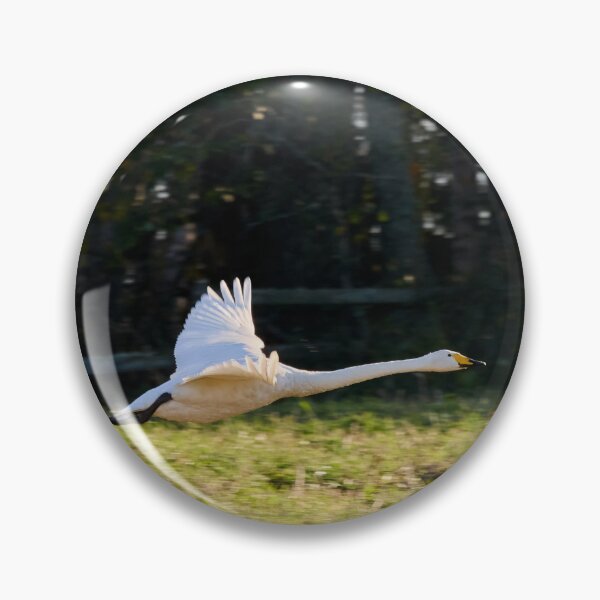 Item preview, Fly profile. Whooper swan designed and sold by Jouko Lehto Photography.
