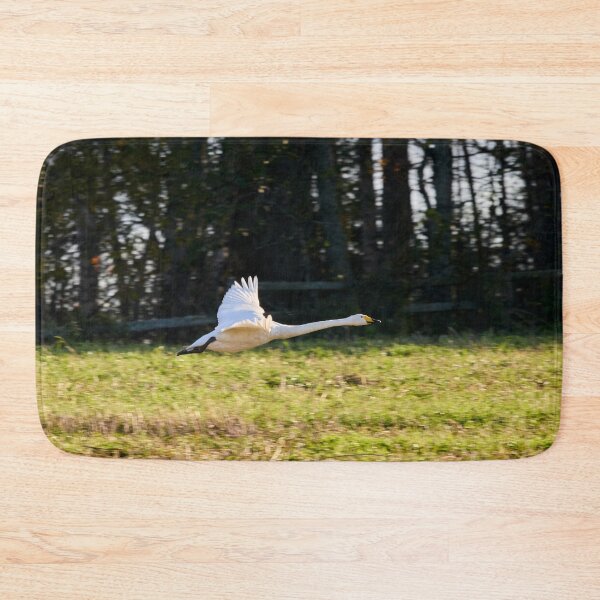 Item preview, Fly profile. Whooper swan designed and sold by Jouko Lehto Photography.